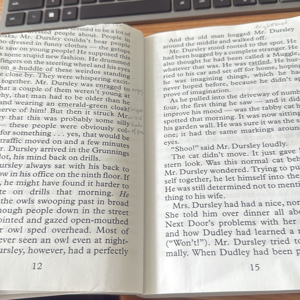 Large Print Harry Potter and the Sorcerer's Stone Book - Picture 4 of 5